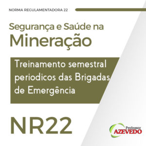 Curso NR 22 Treinamento semestral Específico para Brigada de Emergência Online